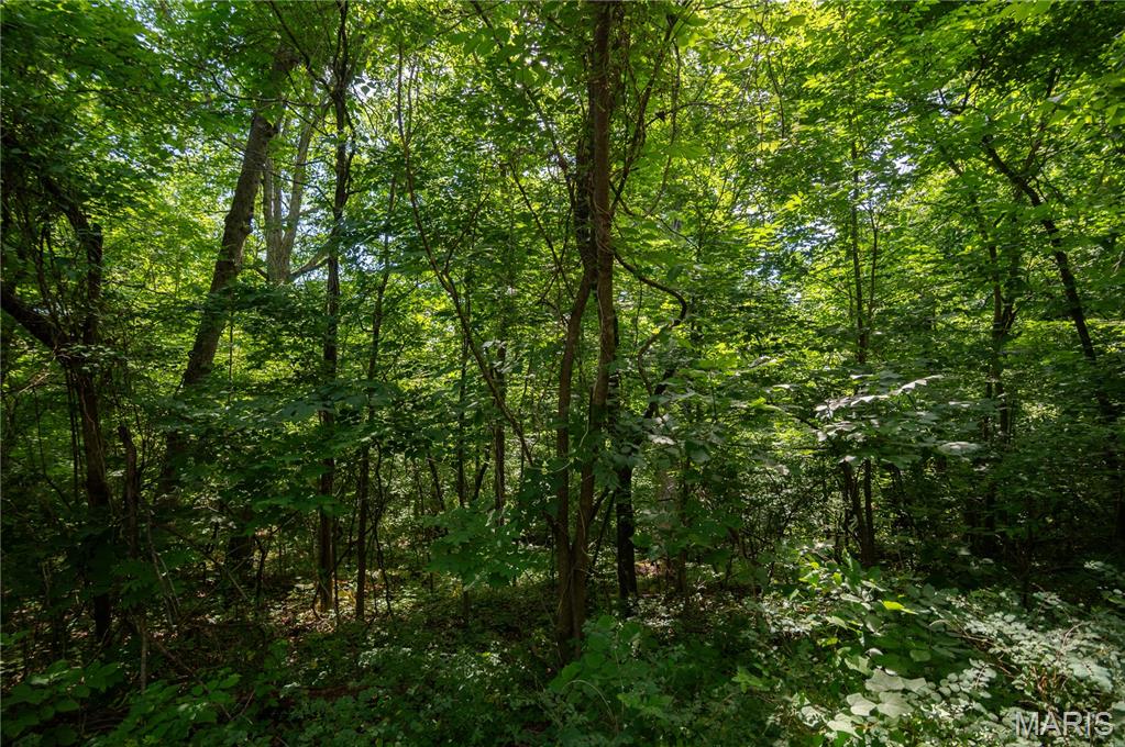Deer Run - Residential