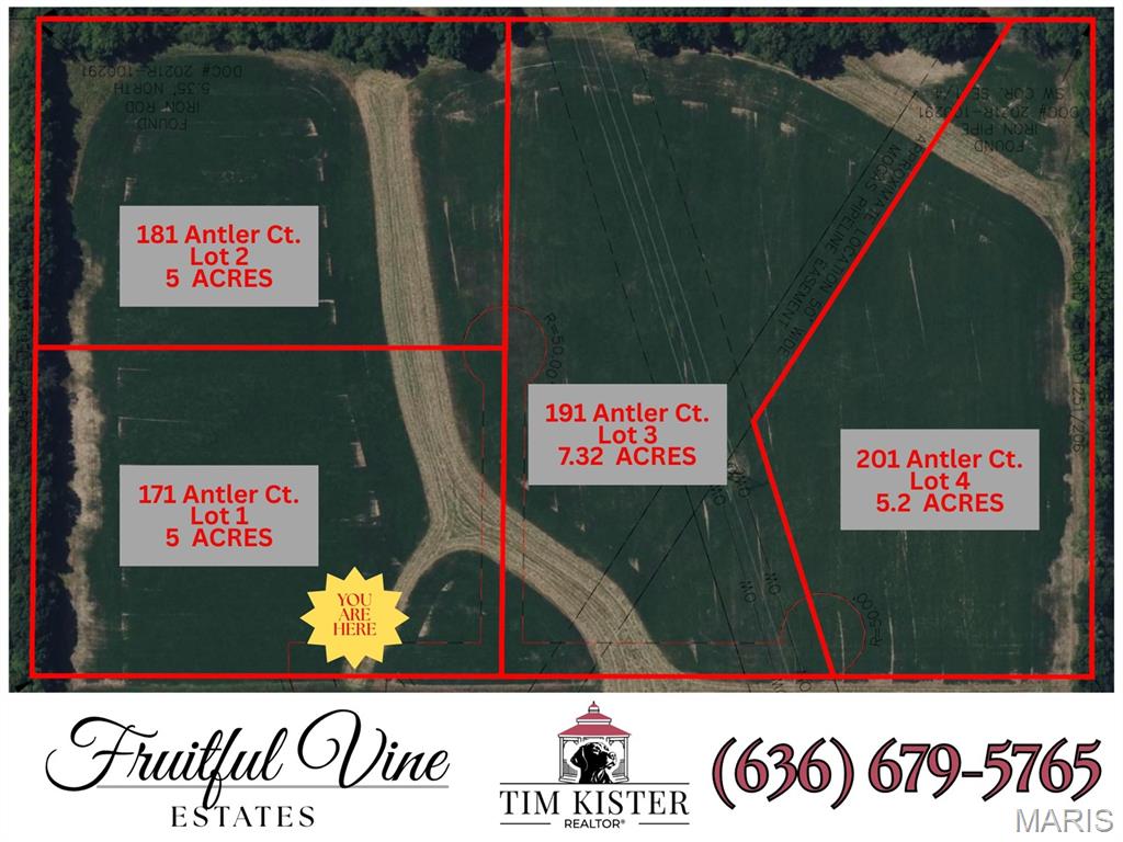 Fruitfull Vine - Land