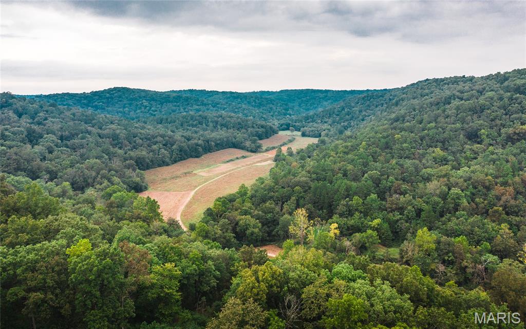 Boyd's Creek is a true outdoor paradise. You are surrounded by conservation land, providing thousands of additional acres and offering quick access to the Sunklands. The property features alfalfa and clover fields strategically placed alongside persimmon and fruit trees, with Boyd's Creek running right through—providing year-round water. A great mix of timber and open fields creates an ideal habitat for deer and turkey. A fantastic 6-bedroom, 3.5-bath lodge sits at one of the highest points on the property, offering breathtaking views from the covered upper deck. Need more lodging? There are RV hookups with a separate septic system located at the bottom of the hill. Multiple outbuildings are also on the property, providing ample storage. Love the river? You're in luck—easy access to the Current River is less than half a mile from the property entrance. The Current River is well known for its excellent smallmouth bass fishing, camping, and floating. Bring the whole family and enjoy this beautiful, rare piece of paradise. Multiple opportunities await—don’t let this one slip by!