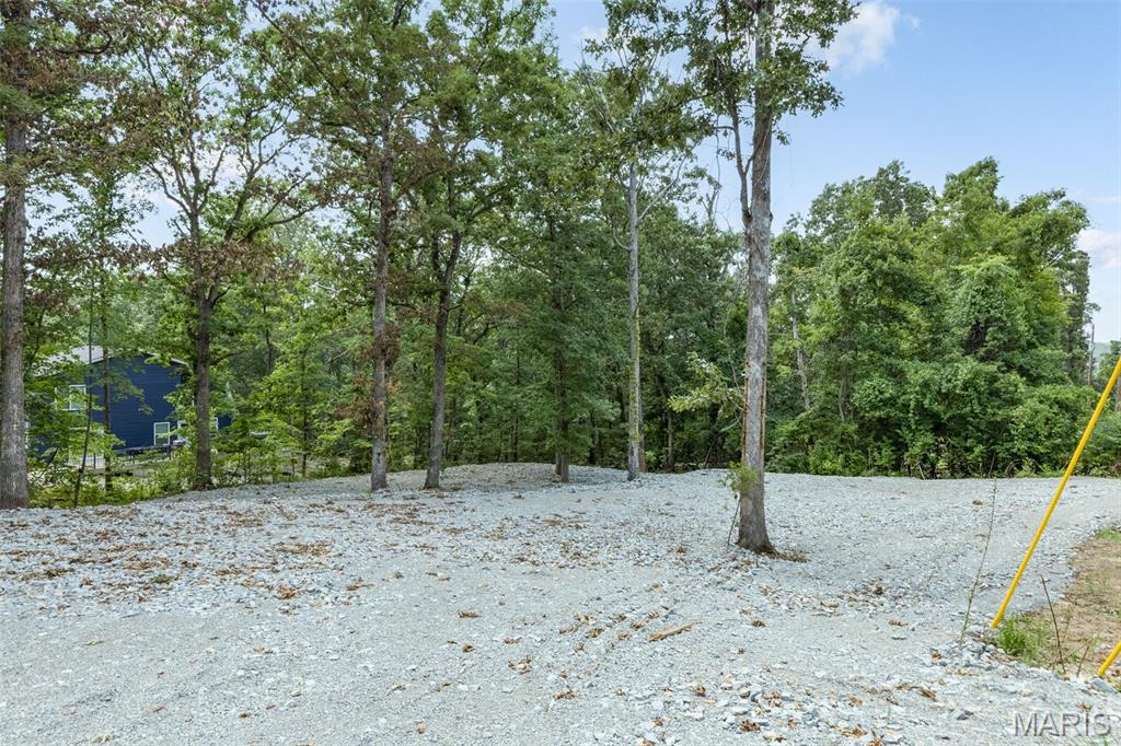 PLAT 21 LT 59 GOOSE CREEK - Land