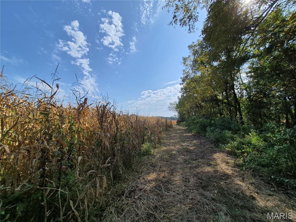 N/A, None, 0, NA - Farm