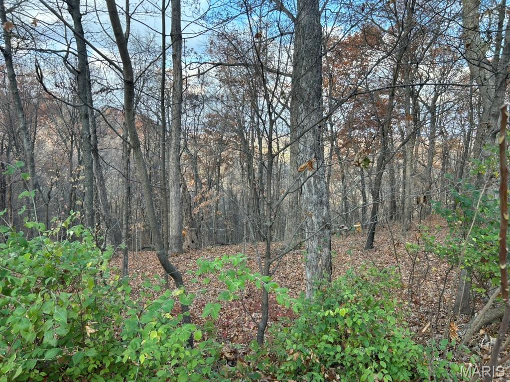 THE BLUFFS AT HOENE SPRINGS - Land