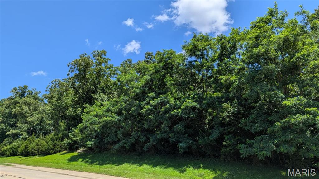 Prime location, flexible zoning, and positioned right in the path of Warrenton’s growth, this 3.58-acre property is all about opportunity.

Zoned light commercial and residential, this lot gives you options. Whether you’re planning a business, a mixed-use concept, or a residential build, the groundwork is already there to bring your vision to life. High visibility and easy access make it a smart choice for anyone thinking long term.

Located near major highways, schools, shopping, and dining, and directly across from new development including a hotel under construction, this property sits in an area that is actively expanding. That kind of positioning is not easy to find.

If you’ve been waiting for the right place to build, invest, or get ahead of the growth, this is where you want to be.