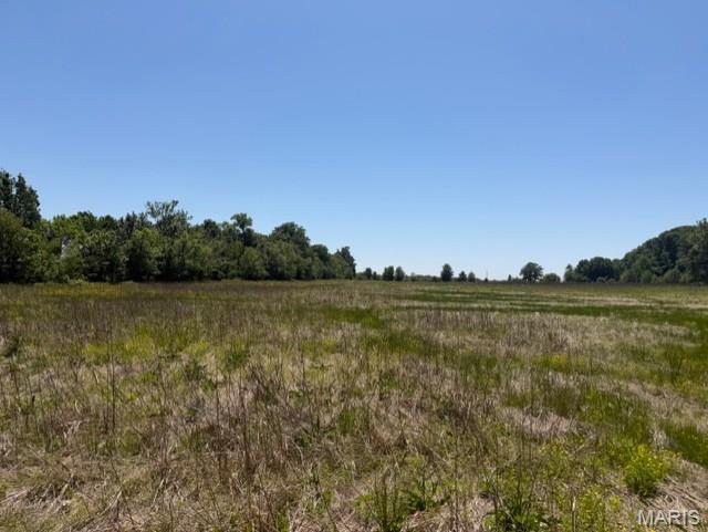 95 acres +/- of versatile farm and recreational ground offering endless potential. Approximately 36 acres +/- are tillable with the remaining acreage made up of pasture and mature woods featuring marketable timber. Whether you're looking to expand your farming operation, build a hunting retreat, or invest in land with income and recreational opportunities, this property checks the boxes. Live active Spring that has been the source of water for the home and the tillable acreage nearby. (you'll even see Blue Spring on your apps) Excellent deer hunting with potential for duck hunting as well. Existing older home on property is uninhabitable and considered a tear-down. Hard to find combination of tillable acreage, timber, pasture, and wildlife all in one property.