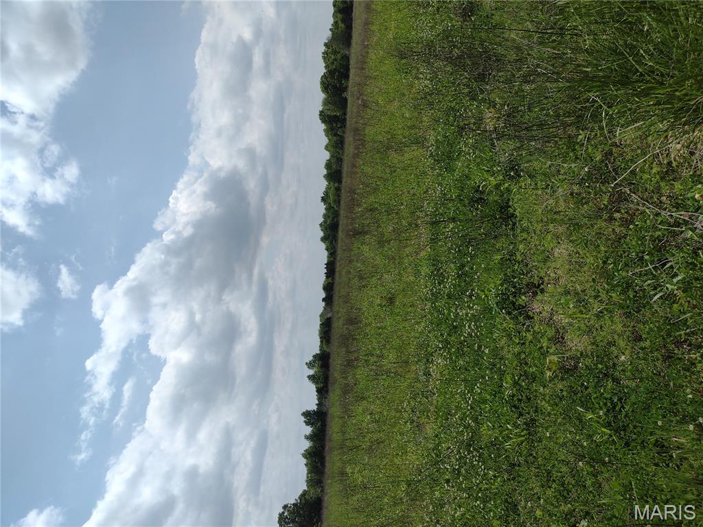 114.35 -/+ farmland and grazing. This land runs sits on the corner and runs along 2 roads with entry from both roads. Great for recreational, tillable crops (56+/- acres) or grazing.  Great place to build your new home. Seller may be interested in separating the 53 acres from the other 2 parcels No trespassing !! There are 24/7 surveillance cameras on the property.