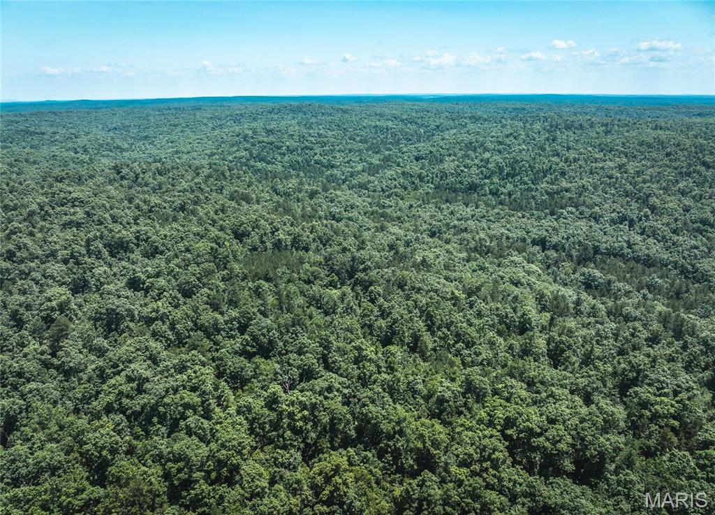 Discover the perfect outdoor retreat in the heart of the Ozark Mountains! This 38-acre turnkey property near Ellington, MO, is ready for your recreational dreams. Navigate the property with ease, whether for hunting, hiking, or exploring. Choose your own food plot that is optimal for wildlife attraction. Excellent habitat for deer and turkey makes this a hunter’s haven. Close to premier fishing spots, crystal-clear rivers, and endless outdoor activities. Perfect for hunting, fishing, and enjoying all the beauty of the Ozarks. Don’t miss this opportunity to own your slice of Missouri paradise!