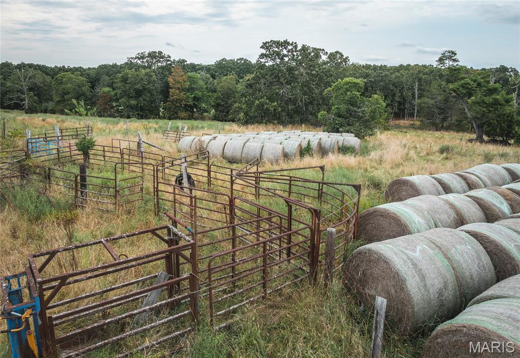 Rural - Farm