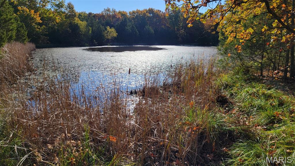 Discover 65 scenic and serene acres offering the perfect blend of privacy, recreation, and opportunity. This versatile property is ideal for outdoor enthusiasts, featuring excellent hunting grounds and a stocked pond for fishing and peaceful relaxation. Improvements include a drilled well, septic system, and electric already in place, along with a 1965 mobile home and a 24’ x 24’ metal building with a concrete floor, electric, and roll-up door—perfect for a workshop, storage, or equipment. Whether you’re searching for a beautiful building site, a weekend or summer retreat, or a property to enjoy recreation, hunting, and fishing, this land offers endless possibilities in a truly tranquil setting.