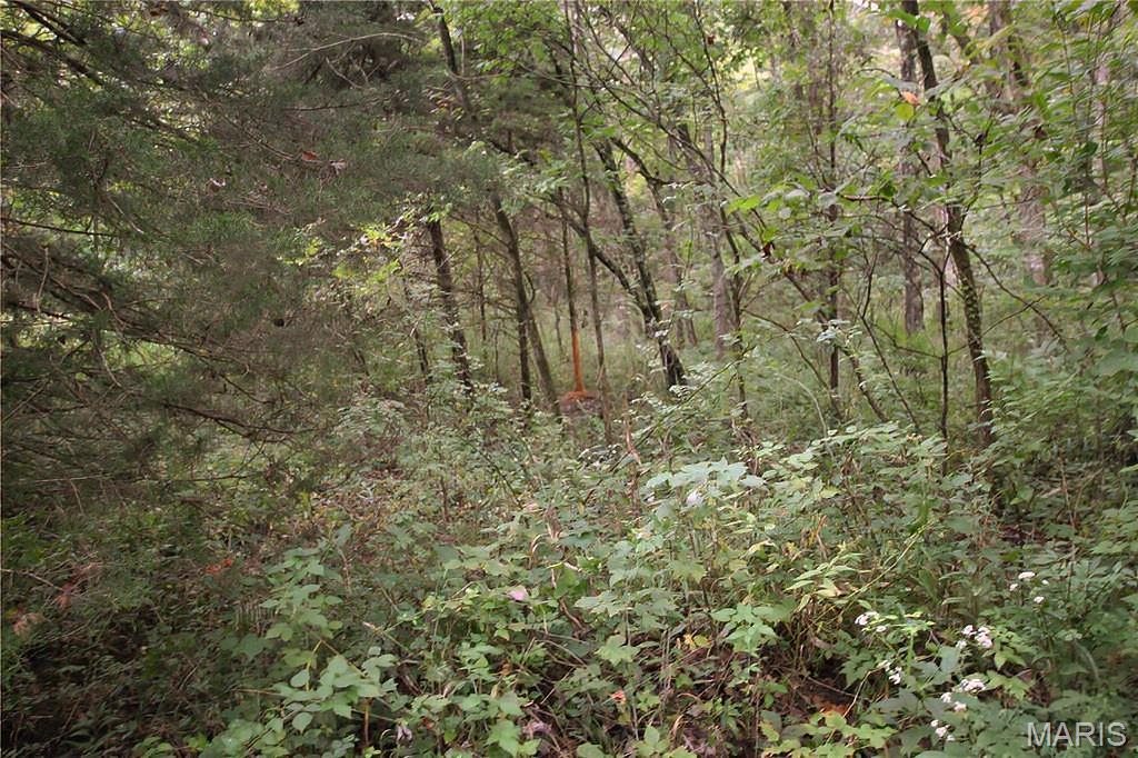 4.65 acres of privacy, space, and opportunity in Warrenton.

This wooded tract offers a private setting with varied terrain and no utilities currently connected, making it ideal for recreation, a future homesite, or long term investment. Whether you’re planning to build, explore, or hold land for the future, this property offers room to create your own plans.

Tucked away yet still within easy reach of town and major highways, this property offers the balance of seclusion and convenience buyers are looking for. An excellent opportunity to own acreage in the Warrenton area.

Additional acreage is also available, including 50.15 acres, 6.72 acres, and 4.14 acres.

Important: The current GIS/tax record reflects this property as part of a larger parcel. This property is currently recorded as part of a larger parcel. Tax ID #06260000022000000. The survey/redivision has not yet been recorded. The tax amount shown reflects the taxes for both the 4.65 acre and 4.14 acre tracts combined and is not the tax amount for this individual tract. Tax records will be updated upon recording.