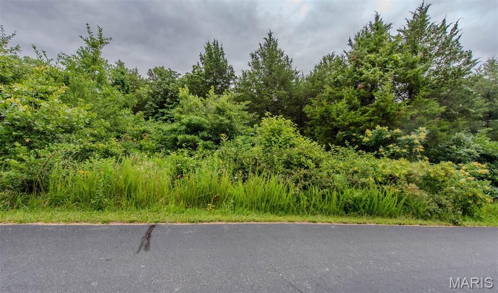 Winding Woods Estates - Land