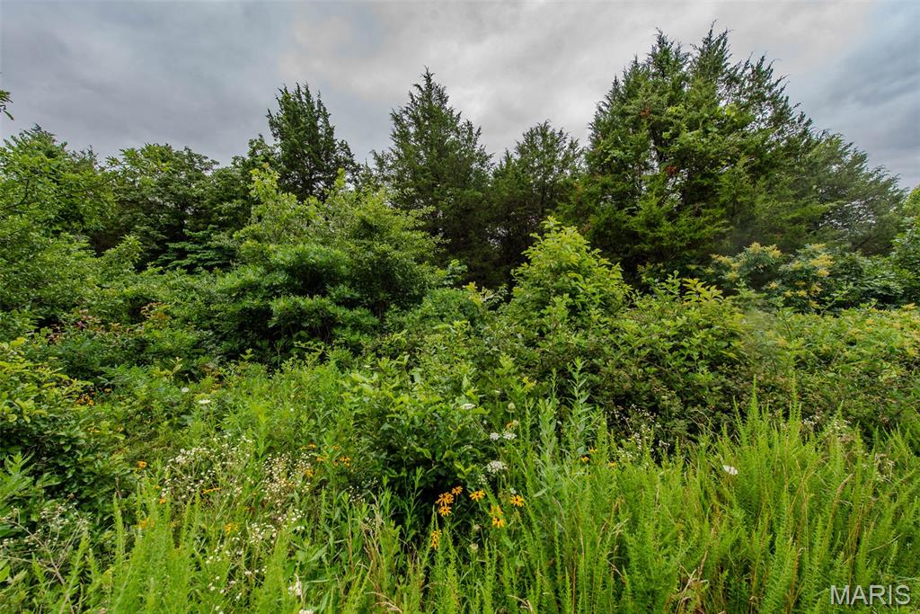Winding Woods Estates - Land