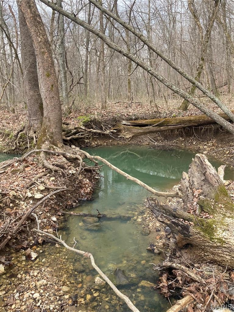 65.53 acres of privacy, space, and opportunity, all in Warrenton.

Made up of four parcels being sold together, this property offers a wooded setting with varied terrain and no utilities currently connected, making it ideal for recreation, a future homesite, or long-term investment. Whether you’re planning to build, explore, or hold land in a growing area, there’s room here to make it happen.

Tucked away yet still within easy reach of town and major highways, it offers the balance of seclusion and convenience buyers are looking for.