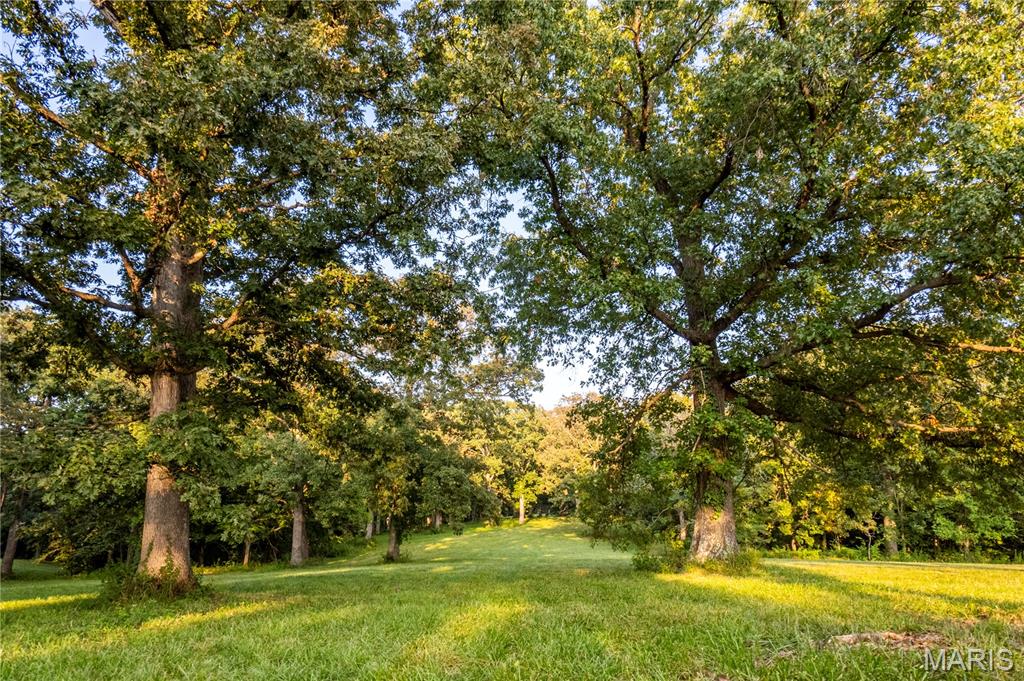 12.7 acres with underground electric and county water on site. This tract showcases mature trees, picturesque views, and exceptional wildlife...including turkey and trophy-size bucks. Deed restrictions prohibit hog-confinement buildings, mobile or modular homes, junkyards, ATV tracks or race tracks, and logging beyond what’s needed for homesites. Additional acreage is available for expansion. Don’t miss out on this rare opportunity to own a truly remarkable property. Agent Owned.