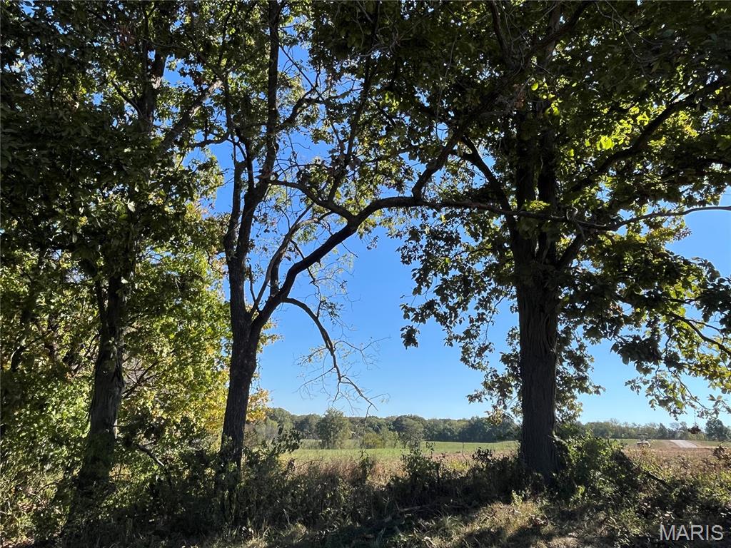 Autumn Ridge - Land