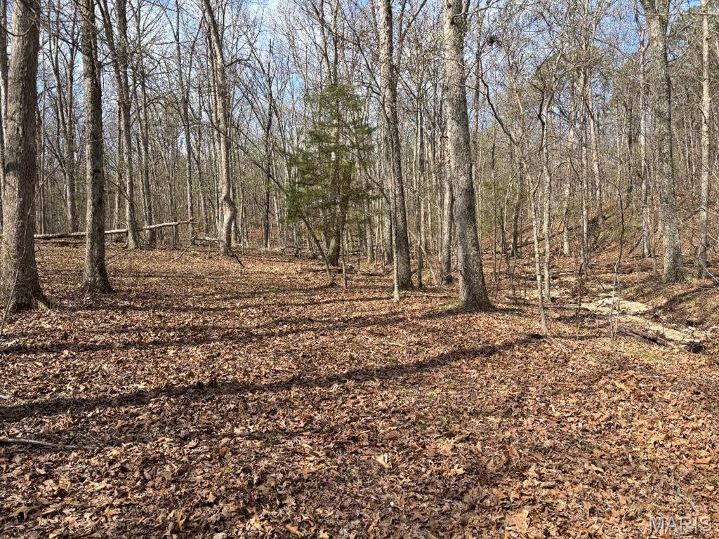 25.80 Acres (+/-) with small pond situated in a very private setting. Great recreational property. Nice hardwoods. Located on a private road. Part of a larger tract that is being subdivided. More land available. Follow Highway 8 a short distance from Potosi to private road. Property is located on this private road. Identified as Tract 3 on sketch in supplements. Call with questions or to arrange your viewing. Great getaway property! NOTE: Sellers are currently working with Ameren to have electric run along road. 
NOTE: A Parcel ID & a Tax amount will be determined by Assessor after a recording. A 911 Address will be assigned (if requested) after closing. Duplicate Farm Listing MLS #26020653