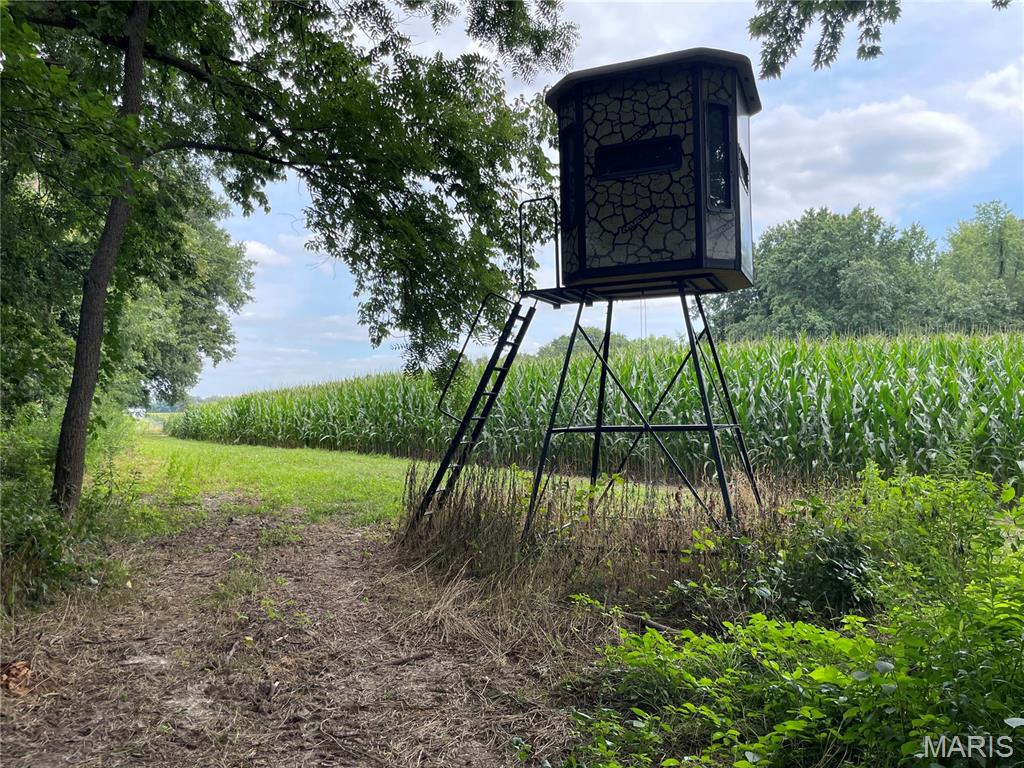 - - Farm