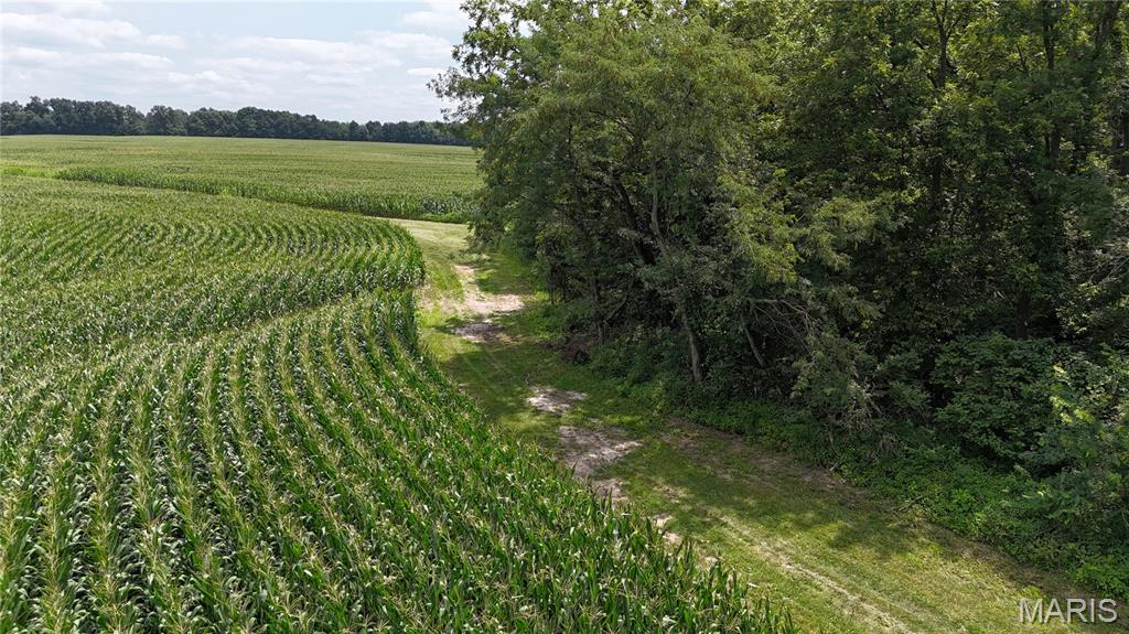 - - Farm