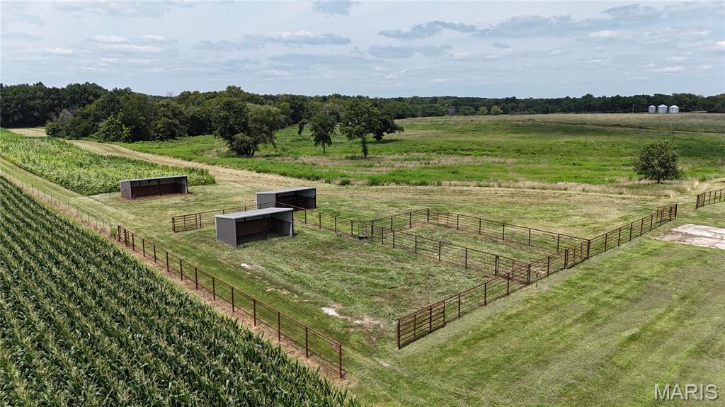 - - Farm