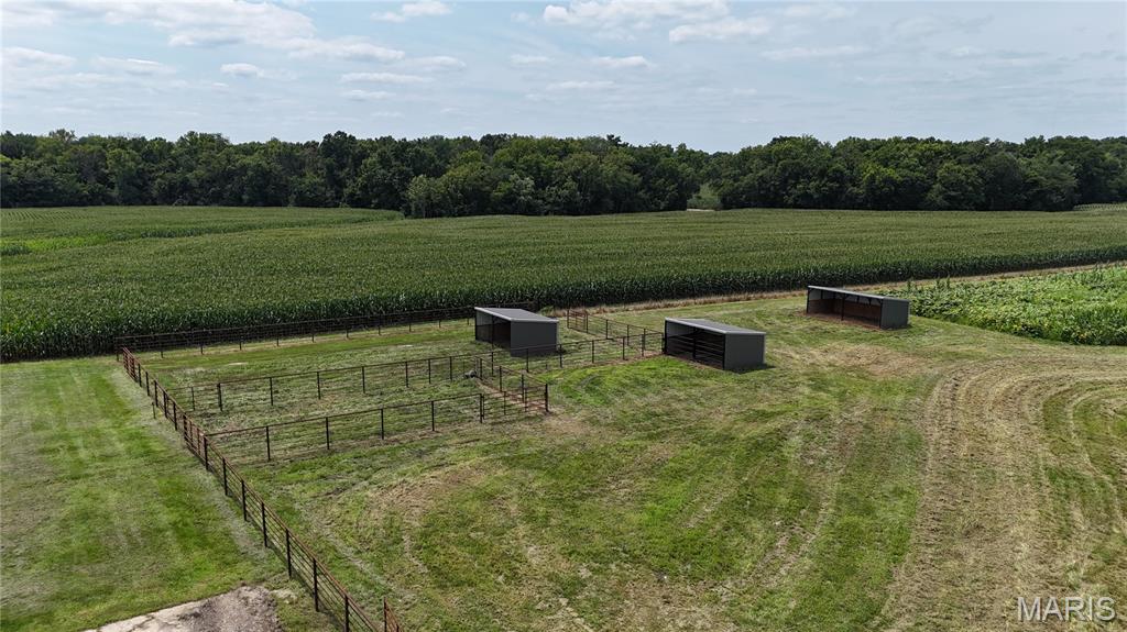 - - Farm