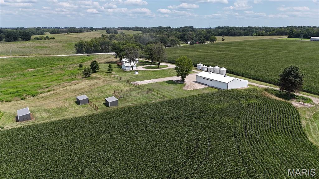 - - Farm