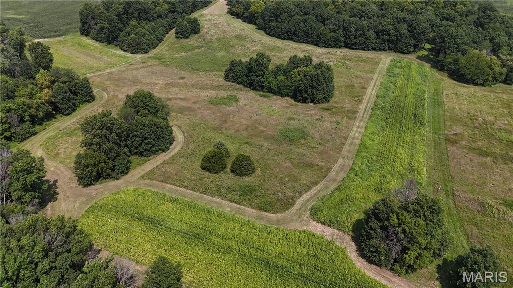 - - Farm
