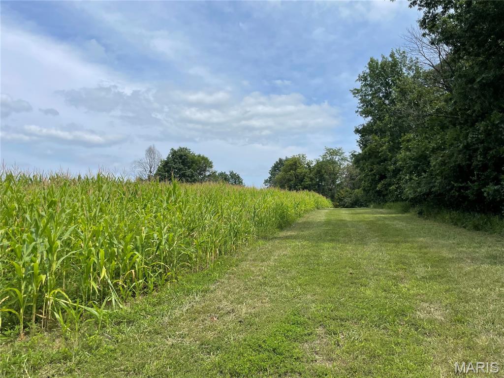 - - Farm