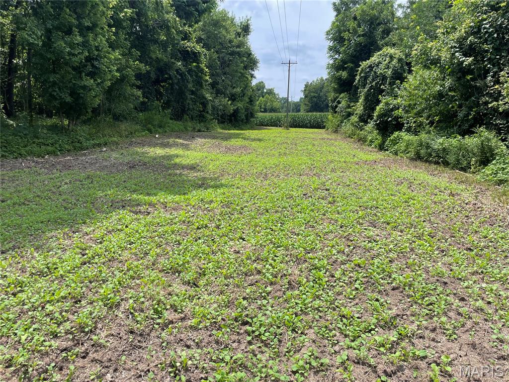 - - Farm