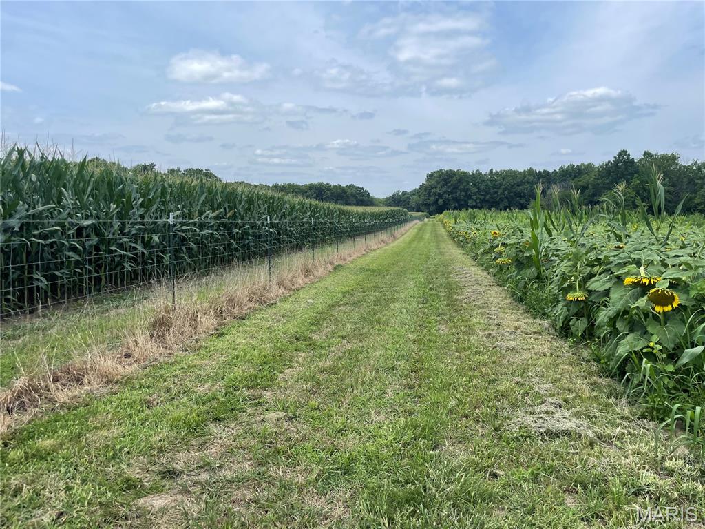 - - Farm
