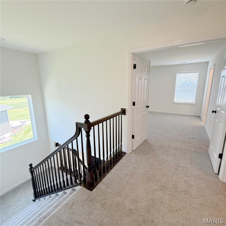 Harvest - Residential Lease