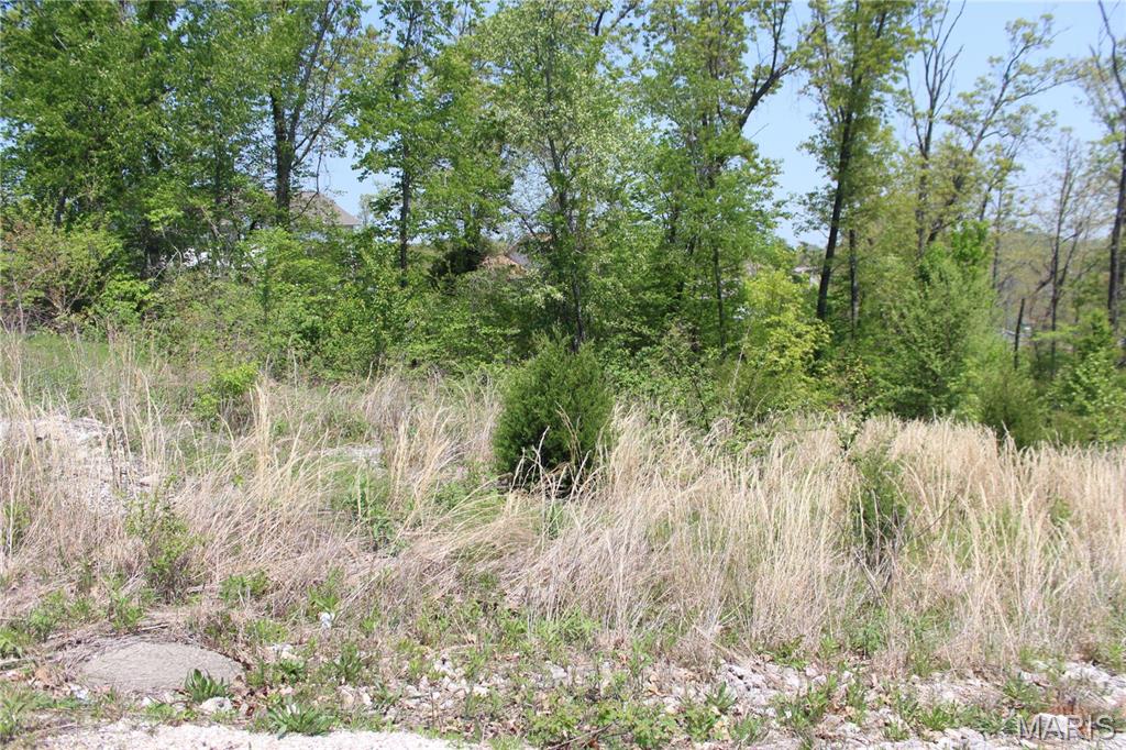 Building lot ready for your new home! This sale also includes the "GREENSPACE "B" ROCKY POINT PLAT NO 4" tract. Close to Fort Leonard Wood and amenities. Some utilities available. Perfect setting in a desirable area. In Platted Subdivisions, restrictions apply. LOT 49A - RESUBDIVISIONROCKY POINT PLAT NO 6 & "GREENSPACE "B" ROCKY POINT PLAT NO 4"