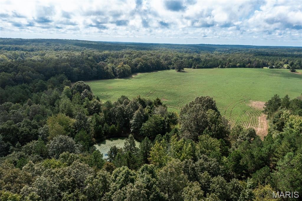23 +/- acres, approximately 14 cleared, currently in double crop beans, balance wooded with a small pond. The property lays extremely well, has county road frontage, electric on the property and no restrictions.  Additional land available.