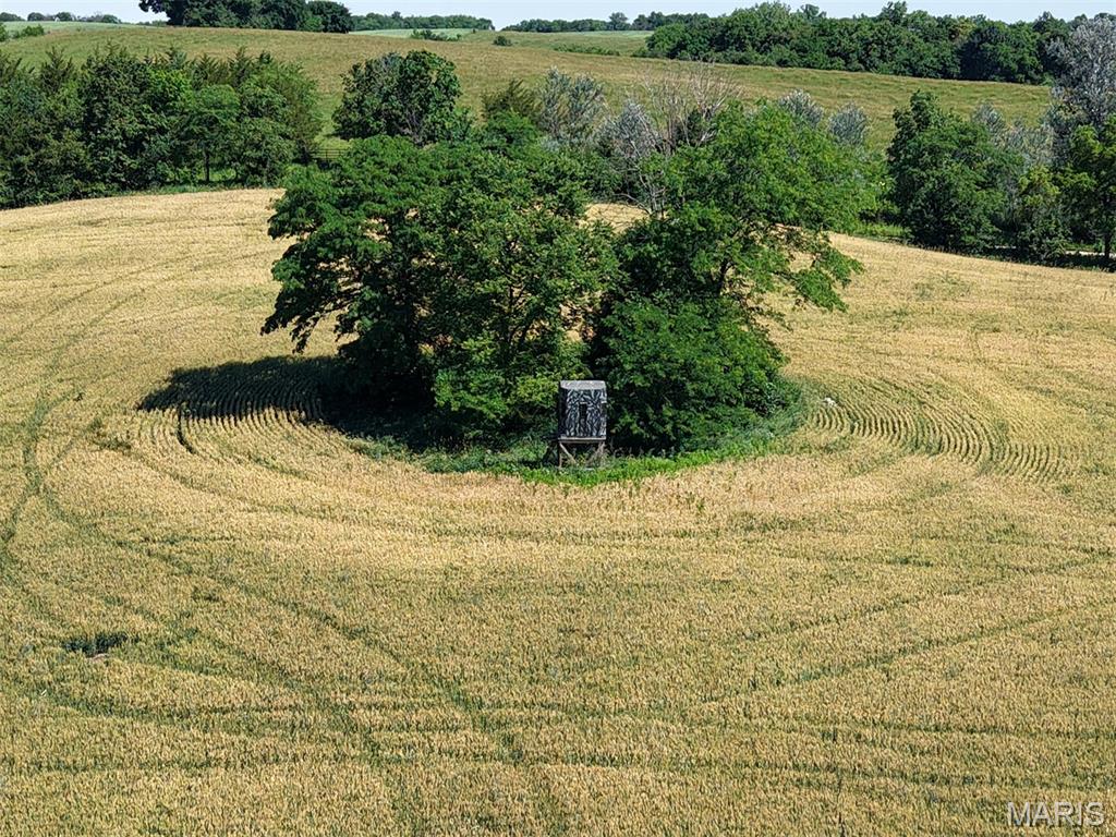 N/A - Farm