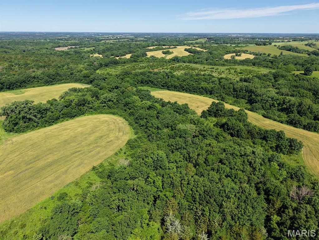 This 140±-acre property delivers the perfect combination of income-producing farmland and elite whitetail habitat, all positioned right along the highly sought-after Iowa/Missouri state line.

Featuring 62.18± acres of cropland, including 35± acres currently planted in wheat, this farm offers return with open tenancy for the 2027 crop year, giving you full control over future farming or leasing decisions.

Designed with serious hunters in mind, the property boasts strategically placed enclosed deer blinds, a prime central bedding area packed with thick brush and cedar cover, and rolling terrain with scenic valleys that naturally funnel deer movement and create unforgettable hunting setups.

Access is unbeatable with entry points from both the North and East sides, allowing you to hunt effectively in multiple wind directions without compromise. The well-thought-out internal layout ensures easy navigation and low-impact entry and exit routes, helping maintain consistent deer patterns and reduce pressure across the farm.

This is more than just a piece of ground—it’s a turnkey hunting system with income potential, smart design, and big buck opportunity, all wrapped into one exceptional property located on the Iowa/Missouri state line.