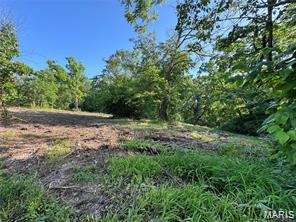 Escape to your own private retreat on Conway Road! Nestled on 5.8+/- beautiful, heavily wooded acres of rolling Missouri topography, this property offers the perfect balance of secluded country living and everyday convenience. Located just minutes from Highway 28 and the heart of Dixon, you'll enjoy unmatched privacy with public water and well options accessible. Whether you are looking to build your dream home surrounded by native timber and local wildlife, or searching for a recreational escape in Pulaski County, this acreage delivers. No development restrictions give you the freedom to bring your unique vision to life. Don't miss out on this pristine piece of the Ozarks—schedule your private tour today!