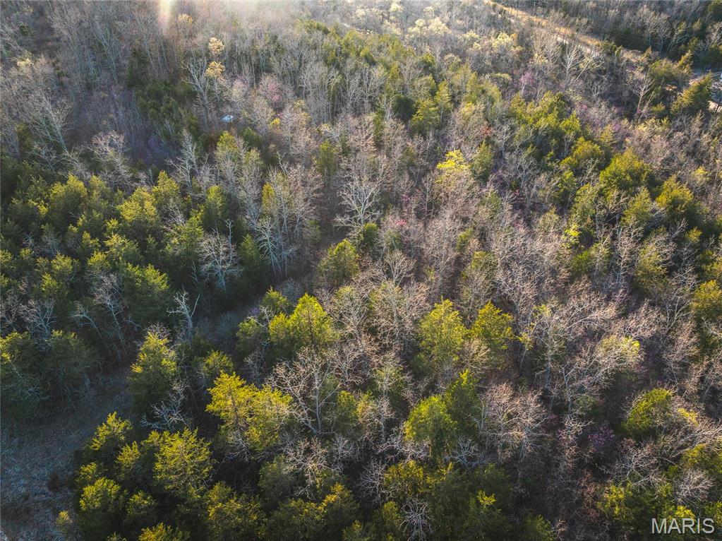 Located just 10 minutes from Cabool and minutes off Highway 60, this 7.4-acre tract offers the perfect blend of convenience and seclusion. With an easy commute from both the St. Louis and Springfield areas, it’s an excellent spot to escape the city and enjoy the tranquility of the Ozarks. The property features county road frontage on two sides, providing easy access and multiple options for building a small shed, cabin, or even a tiny home. A shared community fishing pond offers peaceful afternoons by the water, and the nearby Big Piney River provides additional outdoor recreation just minutes away. Deer and turkey frequently roam the land, making it a great base for hunters or nature lovers alike. Whether you’re seeking a quiet weekend retreat, a hunting basecamp, or a peaceful slice of the Missouri countryside, this property has the potential to be your perfect escape. Additional Rooms: Other