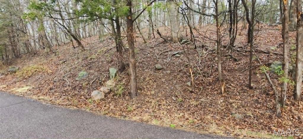 Build your dream home—or simply enjoy owning a slice of this beautiful community—on this exceptional .3175-acre lot offering over 94 feet of road frontage, ideally located just 1.5 miles from the front gate of Lake Sherwood. Water, sewer, and electricity are all available for easy hookup if you wish to build. There is no requirement to build, making this a perfect opportunity for investment, recreation, or future plans.
Nestled within a 24-hour gated community, Lake Sherwood offers both privacy and peace of mind, along with access to an incredible array of amenities. Enjoy six beautiful lakes ranging from 3 to 130 acres—the main lake allows motorized boating, while the remaining five offer peaceful, non-motorized enjoyment. The community also features a newer club pool, clubhouse, campground facilities for overnight stays, a sandy beach area, Lakeside Grill with a full menu and a marina. The community offers year-round activities.
Located within the highly regarded Washington School District, this property offers both convenience and charm. You’ll be just minutes from the quaint downtown of Marthasville and close to the scenic towns of Augusta, New Melle, and Washington. Plus, enjoy an easy 35-minute drive to Chesterfield and quick access to Missouri Wine Country’s finest wineries.
Whether you’re ready to build now or later, this property offers the perfect blend of flexibility, lifestyle, and location.