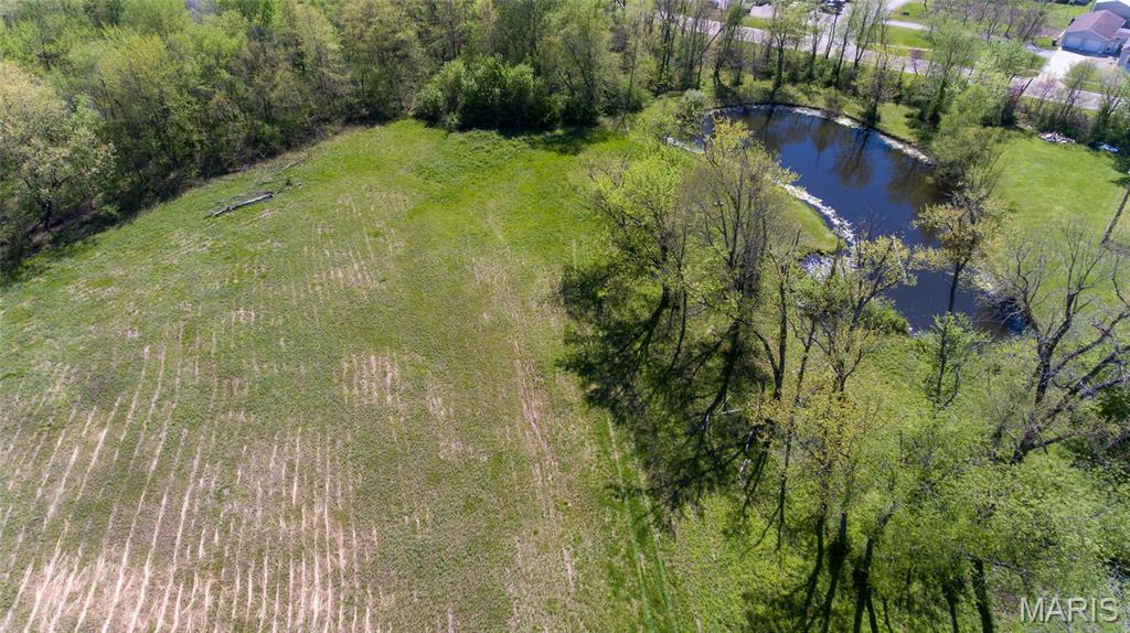Bring your horses or build your dream home overlooking the lake on this stunning 7.9-acres property within the city limits of Benld. Spend your days fishing by the lake, enjoying wide-open space and taking in the peaceful setting. A portion of this land was once previously used for farming beans, making it ideal for crops or gardening. Currently zoned agriculture, with potential to be rezoned residential and possible subdivided-offering endless possibilities. Weather you envision a custom home, a barn for your horses, recreational land, farming, or future development, this property delivers. Rare opportunity to find nearly 8 acres in city limits. Enter property off East Central Ave. Property boarders S. 8th Street. Walk the property anytime and imagine the possibilities!