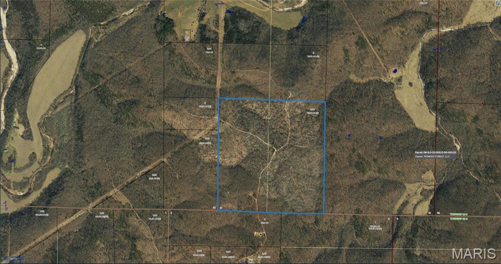 Discover 159.6 breathtaking acres in the heart of Eminence, Missouri —a rare opportunity to own a true Ozarks paradise. This land is more than just beautiful; it’s a place where nature, adventure, and history come alive. Eminence is famously known for its wild horses, often spotted roaming the valleys and hillsides, adding a touch of magic to the stunning scenery. Nestled within the Ozark National Scenic Riverways, this property offers unmatched access to outdoor recreation and natural wonders.

Horseback riders and hikers will love the endless trails winding through the hills and forests, while water enthusiasts can canoe or kayak the crystal-clear Jacks Fork and Current Rivers. Sportsmen will find abundant opportunities for fishing and hunting, and cyclists and explorers will enjoy uncovering the area’s unique caves, springs, and rock formations. Nearby attractions include the dazzling Blue Spring, the postcard-perfect Alley Spring and historic Grist Mill, the family-friendly Echo Bluff State Park, the fascinating Devil’s Well and Round Spring Cave, and the breathtaking Rocky Falls waterfall.

Whether you envision a private retreat, a recreational getaway, or an investment in one of Missouri’s most treasured regions, this 159.6-acre property provides the perfect canvas. With so much natural beauty and adventure at your doorstep..