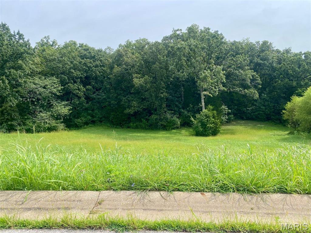 Rainbow Lake Estates - Land