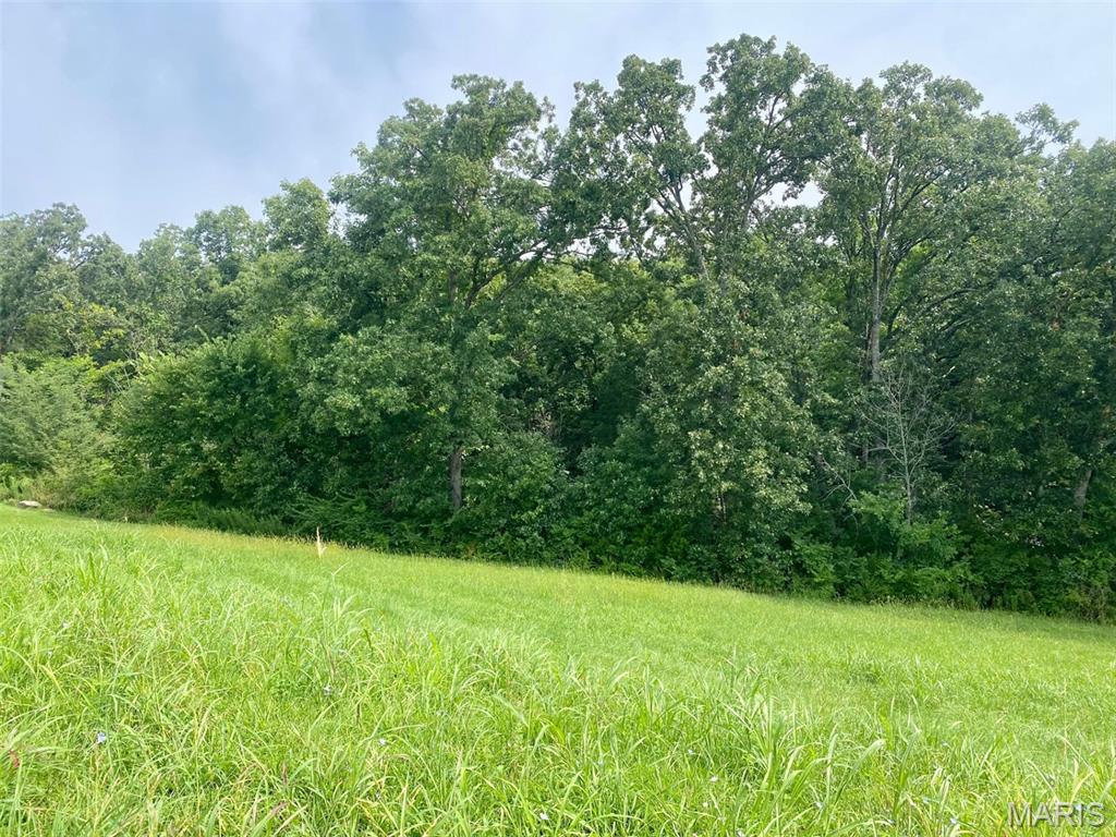 Rainbow Lake Estates - Land