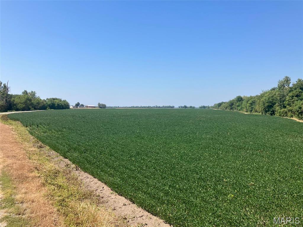 Newport Meadows Future Dev - Farm