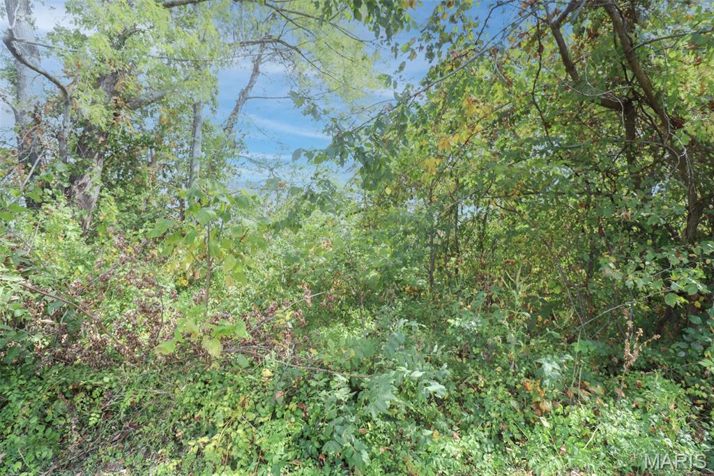 Vacant lot, wooded. City of Dixon.