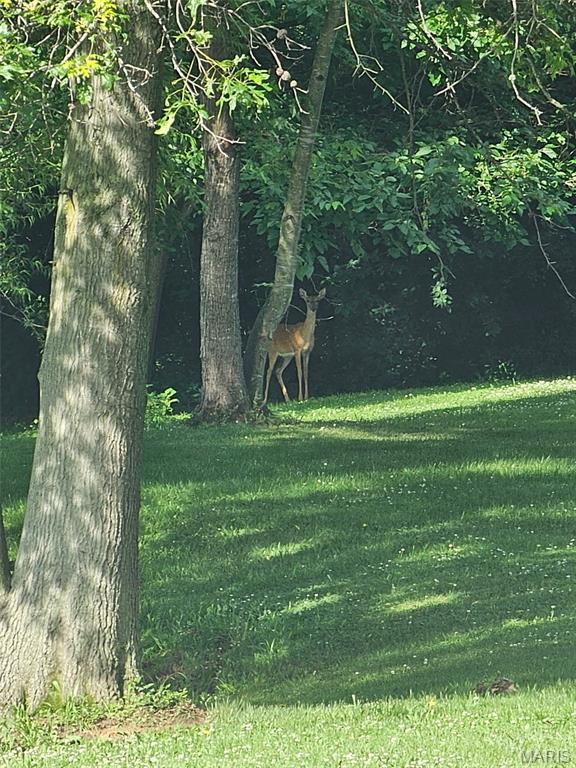 not in a subdivision - Residential