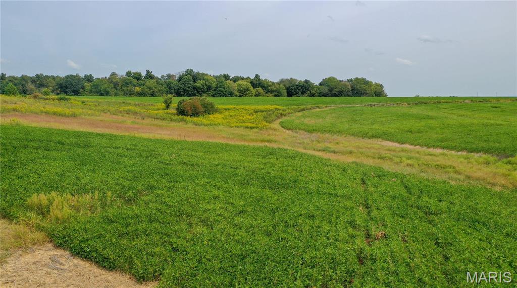 N/A - Farm