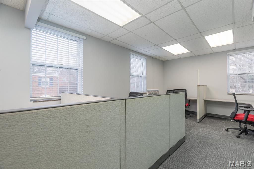 Lindell & Shaws/Us Surv 2037 - Commercial Lease
