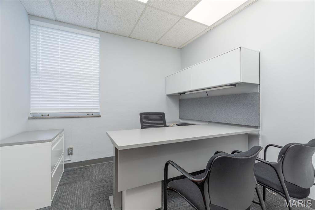 Lindell & Shaws/Us Surv 2037 - Commercial Lease