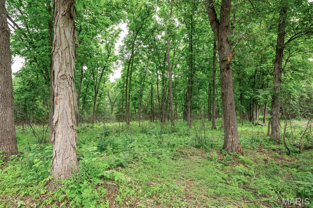 Halyon Estates - Land