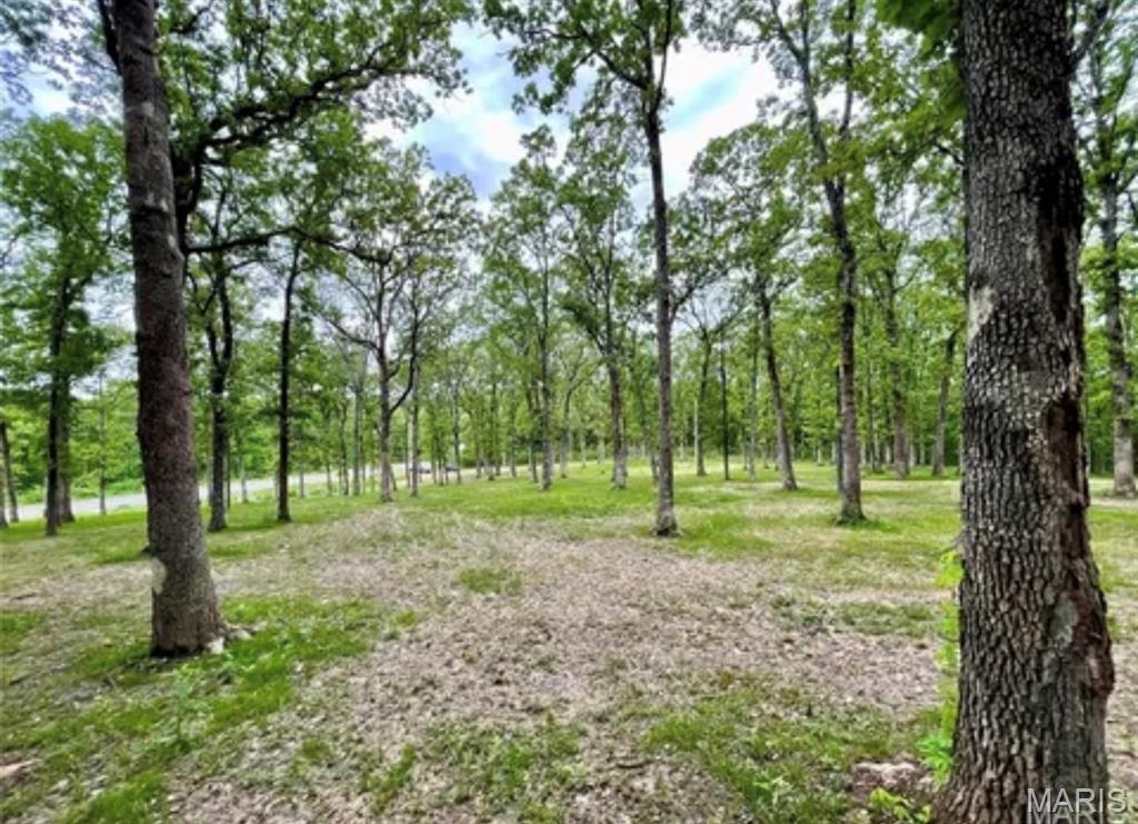 Gorgeous property located on Gravois Road. Ready to build your new home, no HOA restrictions.  Gravel driveway, partially cleared and level land just waiting to showcase your dream home in the country!