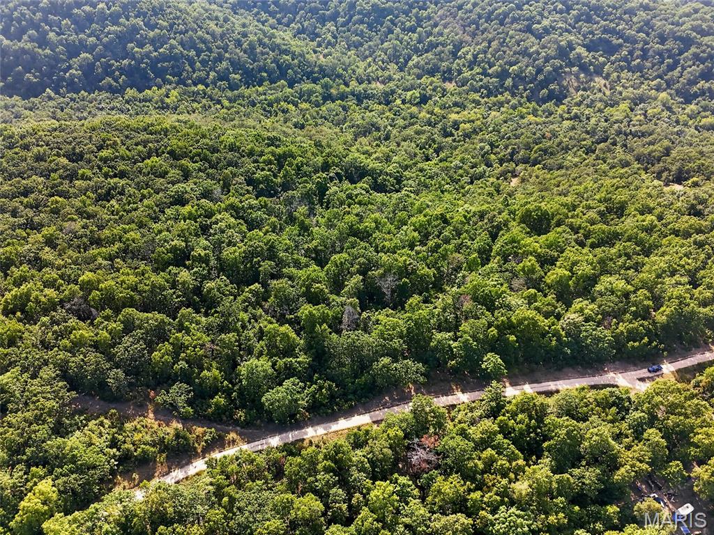 WHITETAIL RIDGE - Land