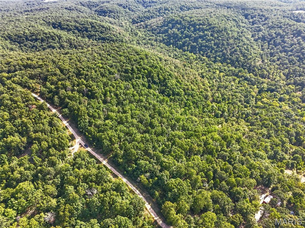 WHITETAIL RIDGE - Land